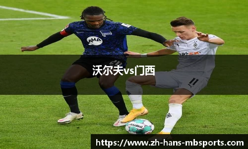 沃尔夫vs门西